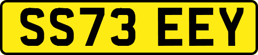 SS73EEY