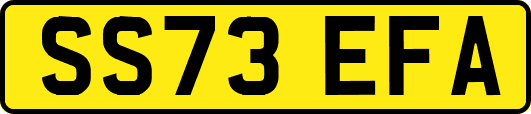 SS73EFA