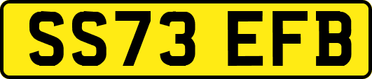 SS73EFB