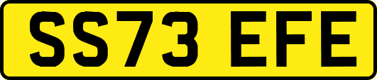 SS73EFE