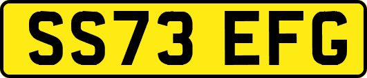 SS73EFG