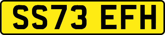 SS73EFH