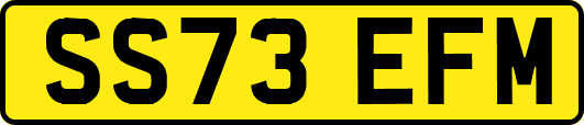 SS73EFM
