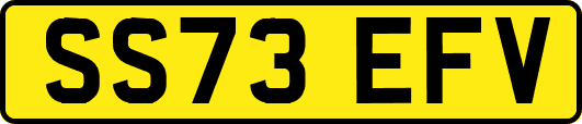 SS73EFV