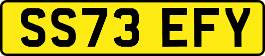 SS73EFY