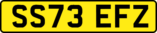 SS73EFZ