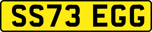 SS73EGG