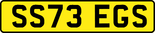 SS73EGS