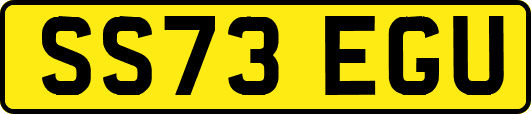 SS73EGU