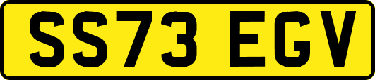 SS73EGV
