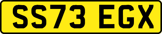 SS73EGX