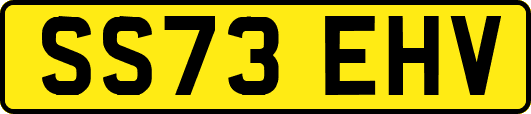 SS73EHV