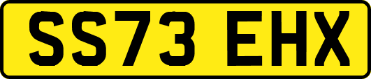 SS73EHX