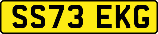 SS73EKG