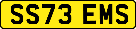 SS73EMS