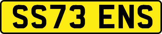 SS73ENS