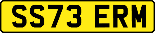 SS73ERM