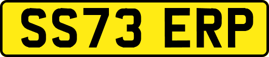 SS73ERP