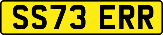SS73ERR