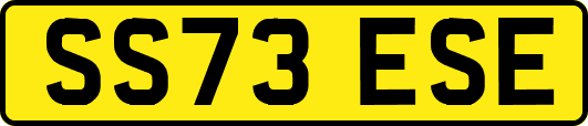 SS73ESE