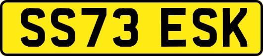 SS73ESK
