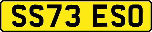 SS73ESO