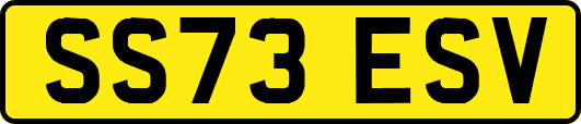 SS73ESV