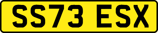 SS73ESX