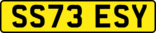 SS73ESY