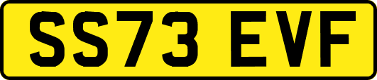 SS73EVF