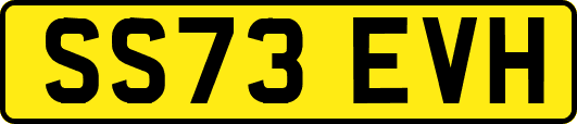 SS73EVH