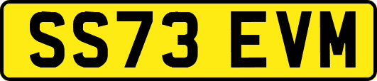 SS73EVM
