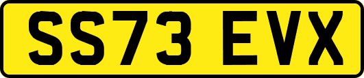 SS73EVX