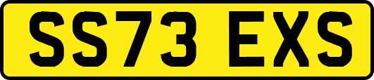 SS73EXS