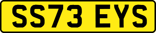 SS73EYS