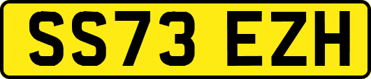 SS73EZH