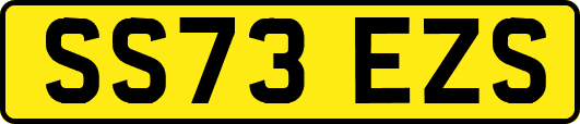 SS73EZS