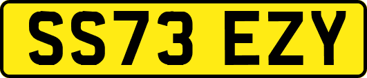 SS73EZY