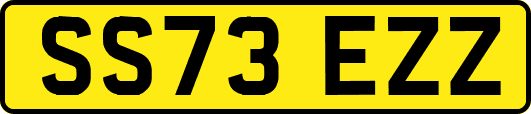 SS73EZZ
