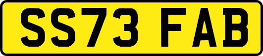 SS73FAB