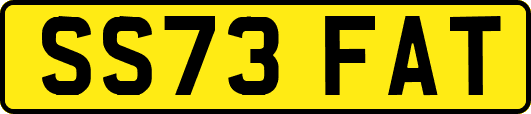 SS73FAT