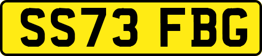SS73FBG