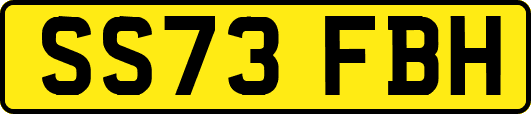 SS73FBH