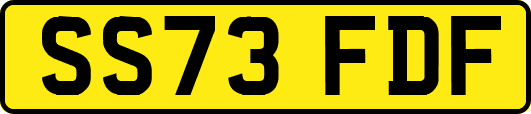 SS73FDF