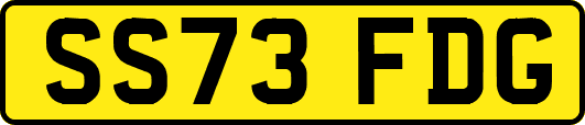 SS73FDG