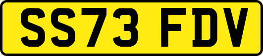 SS73FDV