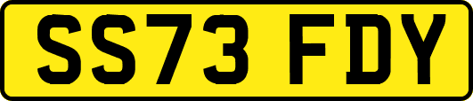 SS73FDY