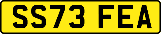 SS73FEA