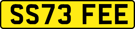 SS73FEE