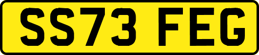 SS73FEG